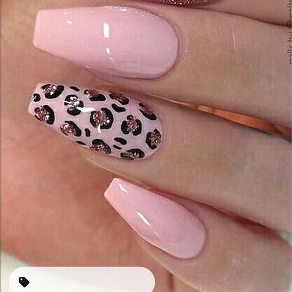 Meet your Posher, Tavia - Picture 1 of 1